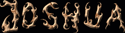 Joshua First Name