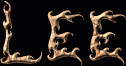 Lee First Name