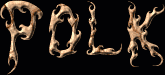 Polk First Name