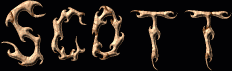 Scott First Name