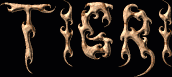 Tigri First Name