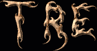 Tre First Name