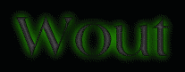 Wout First Name