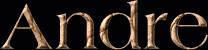 Andre First Name