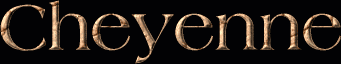 Cheyenne First Name