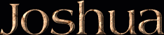 Joshua First Name