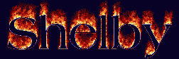 Shelby First Name