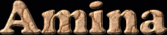 Amina First Name