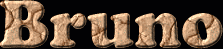 Bruno First Name