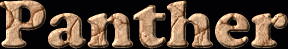 Panther First Name