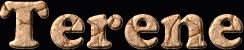 Terene First Name