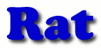 Rat First Name