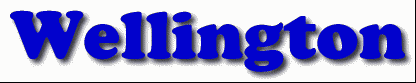 Wellington First Name