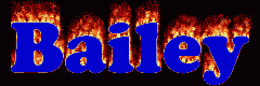 Bailey First Name