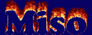Miso First Name