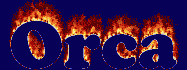 Orca First Name
