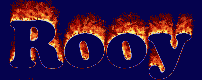 Rooy First Name