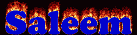 Saleem First Name