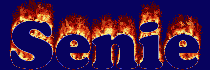 Senie First Name