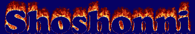 Shoshonni First Name