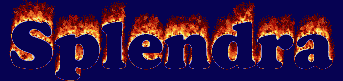 Splendra First Name