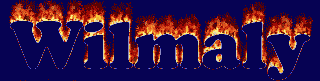 Wilmaly First Name