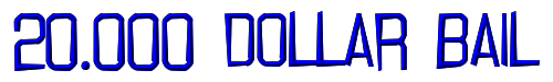 20.000 dollar bail 