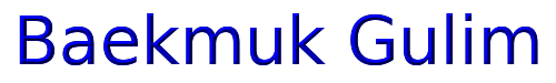 Baekmuk Gulim 
