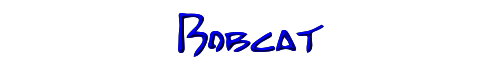 Bobcat 