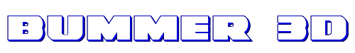 Bummer 3D 