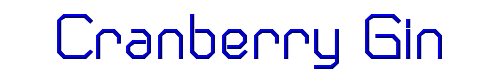 Cranberry Gin 