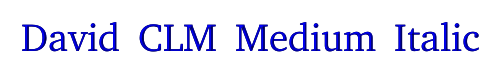 David CLM Medium Italic 