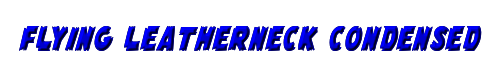 Flying Leatherneck Condensed 