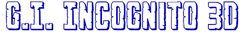 G.I. Incognito 3D 
