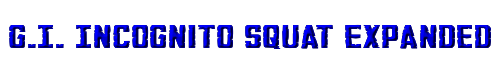 G.I. Incognito Squat Expanded 