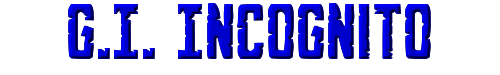 G.I. Incognito 