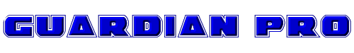 Guardian Pro 