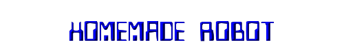 Homemade Robot 