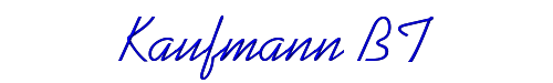 Kaufmann BT 
