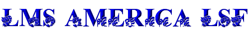 LMS America LSF 