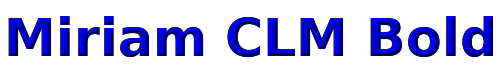 Miriam CLM Bold 