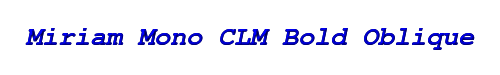 Miriam Mono CLM Bold Oblique 