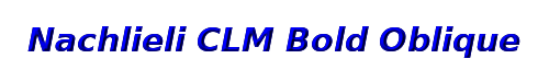 Nachlieli CLM Bold Oblique 