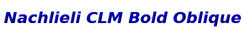 Nachlieli CLM Bold Oblique 