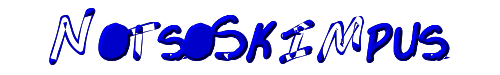 NotsoSkimpus 