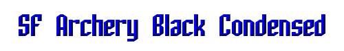 SF Archery Black Condensed 