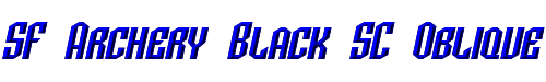 SF Archery Black SC Oblique 