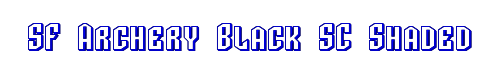 SF Archery Black SC Shaded 