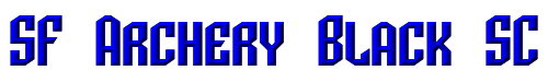 SF Archery Black SC 