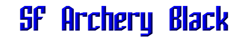 SF Archery Black 